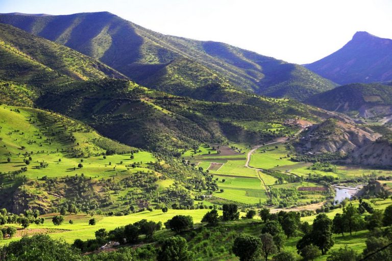 ناوكليكان